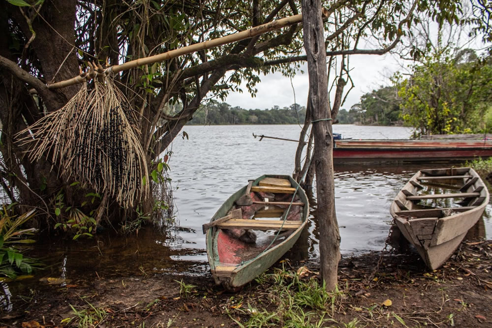 Canoas típicas do Rio Amazonas