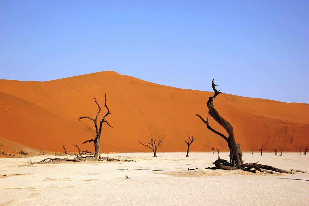 Deserto da Namíbia