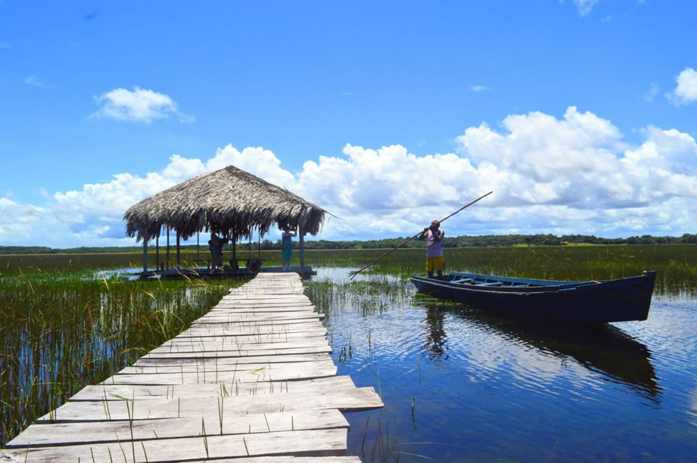 Seu Eduardo remando no período de cheia do Lago do Curiaú. Foto: Victor Hugo Mendonça