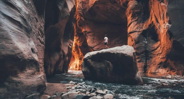 Descubra as maravilhas de Oahu, as atrações únicas de Washington D.C. e o deslumbrante Parque Nacional de Zion para planejar suas próximas férias em família