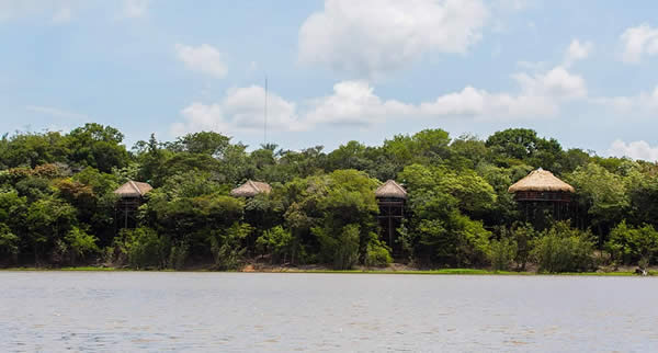 Juma Amazon Lodge oferece hospedagem em bangalôs na floresta amazônica