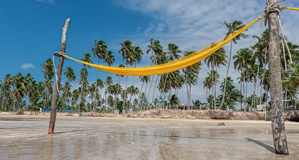 Com a chegada do verão, as praias de Alagoas se tornam um dos destinos mais procurados por turistas brasileiros e estrangeiros